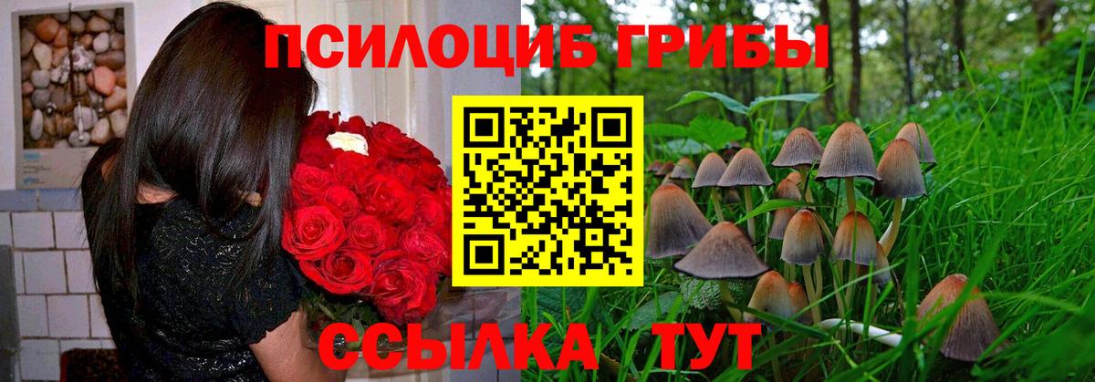 Галлюциногенные грибы ЛСД Ангарск